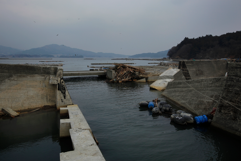 Aneyoshi tras el tsunami. AP